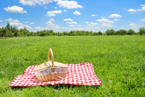 How Portable is Your Ministry? || The Picnic As A New Metaphor for
